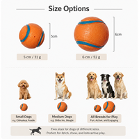 Programme de vente en gros : Balle élastique en TPE pour animaux de compagnie, disponible en deux tailles, pour le jeu de rapport du chien et la poursuite par le chat, et pour la distribution au détail