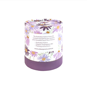 Kit da Giardino per Margherite Swan River, Kit di Coltivazione Fai-da-Te, Regalo per Amanti del Giardinaggio con Forniture Complete per la Crescita - Product Image 4