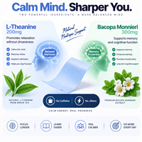 L-Théanine Focus – Bandes Orales à Dissolution Rapide avec Bacopa, Sans Caféine, Nootropiques Apaisants – OEM Marque Privée – 30 Unités