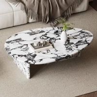 Table basse convertible en marbre pour salon, design moderne, forme ovale, rangement, durable, utilisation en appartement