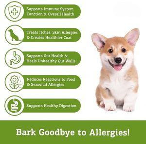 เคี้ยวนุ่มอาหารสุนัขออร์แกนิกสินค้า OEM สำหรับบรรเทาอาการปวดการดูแลสุขภาพสัตว์เลี้ยงและอาหารเสริม - Product Image 3