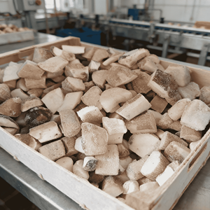 <span class=keywords><strong>Champignons</strong></span> surgelés cuits de qualité supérieure, sautés au curry, plats prêts à consommer, cuisine saine, applications variées, prix d'exportation disponible, HP Valia - Product Image 5