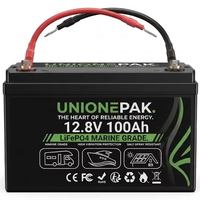 Batterie LiFePO4 OEM personnalisée 12V 100Ah à décharge profonde, 4000+ cycles, étanche, pour camping-car, remplacement de batterie au plomb-acide