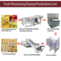 Energiebesparende productielijn voor het drogen en vermalen van fruit, zoals citroen, mango en wortel.