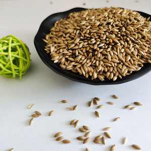 Precio al por mayor, semillas de canario a granel, comida para pájaros, semillas de loros, semillas de Canario para pájaros - Product Image 3