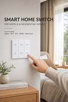 Prix d'usine – Interrupteur mural électrique Zigbee Tuya pour hôtel, commande vocale pour toute la maison, panneau d'alimentation PC