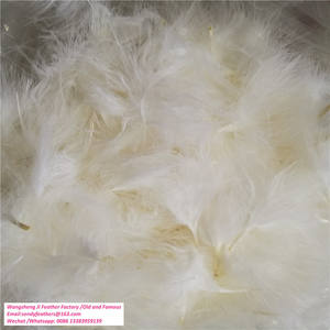 <span class=keywords><strong>Marabou</strong></span> suelto 3-4 "Plumas de pavo blanco Plumas de pluma de sangre de marabú para atar moscas - Product Image 3
