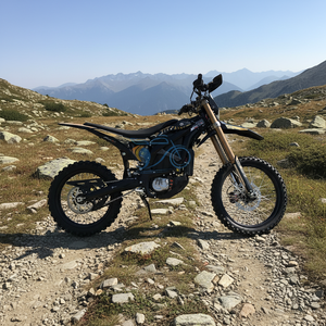 Motocicleta Eléctrica Todoterreno de Bajo Precio, 21KW, <span class=keywords><strong>Sutton</strong></span> Ultra Bee Negra, 74v 60Ah, 95km/h, Ultra Bee Surron 2025 - Product Image 1