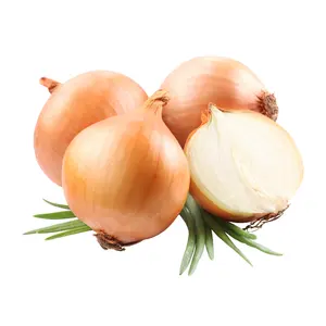 Fresh Myanmar Fresh Onion Red Onion Price Per Ton For Exporting
