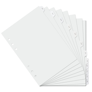 A5 A6 Đục 12 Tấm Hàng Tháng Nhựa Matte Tab Chất Kết Dính Kế Hoạch Chia - Product Image 6