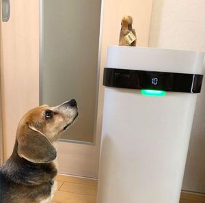 Airdog ion hóa lưỡng cực làm sạch nhà Máy lọc không khí cho phòng lớn Y Tế cấp - Product Image 4