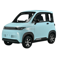 Quadricycle électrique pour adultes certifié CEE L6e-BP 25km/h 45km/h COC, véhicule à énergie nouvelle 4 roues 2 places, mini EV monomoteur en cuir