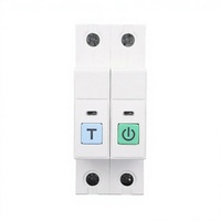 Interrupteur intelligent WiFi 2P avec compteur d'énergie MCB 63A, mini disjoncteur intelligent, surveillance des kWh, relais temporisé, montage sur rail DIN en plastique, Tuya/SmartLife