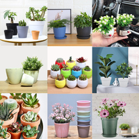 En gros Pas Cher Plusieurs Tailles Intérieur Maison Décorer Table À Manger Bureau Cactus Succulent Mini Pots De Fleurs En Plastique À Vendre