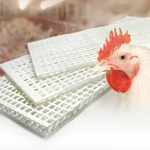 High Strength Plastic Slat Floor Poultry House Raised Easy Cleaning Broiler Slat Floor