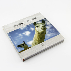 Livre à couverture rigide imprimé de livres à couverture rigide de taille personnalisée à bas prix - Product Image 2