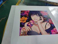Impresora Ovalada Automática para Camisetas KINWAH (DOPSING), Máquina de Impresión de Prendas, Serigrafía, Gran Venta