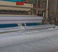 Géotextile non tissé en PP de 150g, 200g, 250g pour le contrôle de l'érosion des pentes et la couche de séparation routière, tissu géotextile tissé
