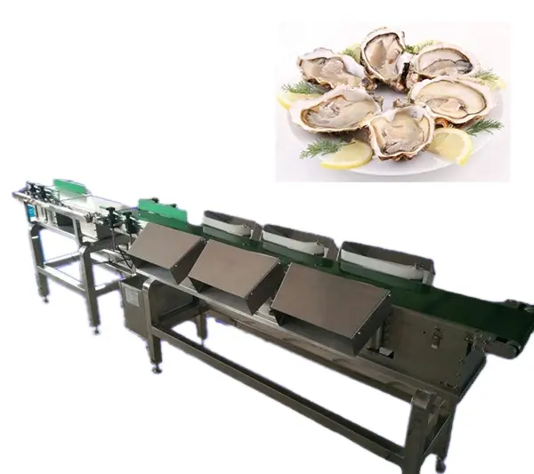 frozen chicken leg/wing/fruits and vegetables/ abalone weighting and sorting machine