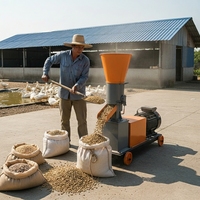 Nouvelle mini-pelletiseuse électrique 220V 200kg/h haute productivité pour aliments pour volailles, lapins, oiseaux et animaux domestiques