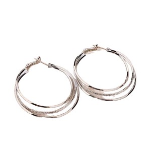 Anting Lingkaran Logam untuk Remaja, Anting Hoop Trendi dan Ekstravagan, Aksesoris Hoop Sederhana untuk Grosir N94284 - Product Image 5