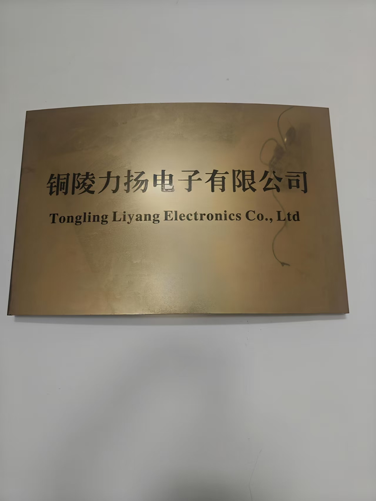 Tongling Liyang Electronics Co., Ltd.