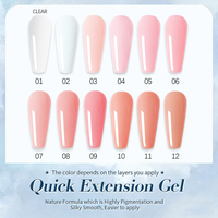 FZN TPO Free Biab Build Gel Color HEMA Free Low Heat Extension rapide Liquid Uv Gel Builder dans une bouteille pour la construction des ongles