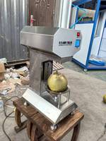 Automatische Kokosnoot Schilmachine, Verse Kokosnoot Schiller met Eén Jaar Garantie