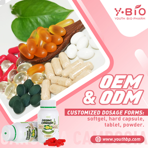 Complément Alimentaire Quotidien : Capsules de Garcinia Cambogia pour Soutenir la Fonction Intestinale et un Ventre Plat – Idéal pour les Sportifs – Prêt à l'Expédition - Product Image 4