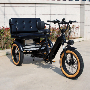 <span class=keywords><strong>Vélo</strong></span> cargo à 3 roues pour adultes et familles, tricycle cargo familial à 3 roues, <span class=keywords><strong>vélo</strong></span> trike - Product Image 1