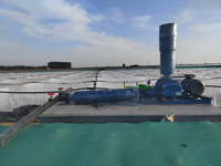 Souffleur à engrenages Shuijingling 5,5 KW 7HP à faible bruit et haute pression pour l'aquaculture industrielle, petite taille, haute productivité pour poissons et crevettes