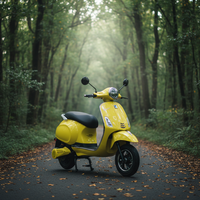 1000W Motorlu Elektrikli Motosiklet Ön Disk Arka Kampana Fren 3.00-10 Tubeless Lastik Yetişkin E Motosiklet