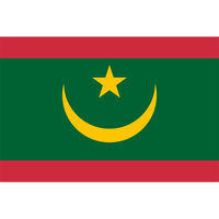 Drapeaux de Mauritanie de couleur vive en gros de bonne qualité 100D Polyester meilleur prix