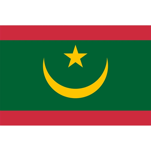 Banderas de <span class=keywords><strong>Mauritania</strong></span> de colores vivos al mejor precio de poliéster 100D de buena calidad al por mayor - Product Image 1