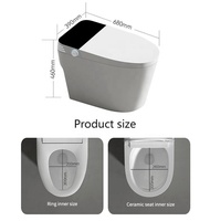 Simple Smart Toilet Sanitary Bidet Toilette Bowl Tankless Electric Automatic Wc Intelligent Toilet for Bathroom