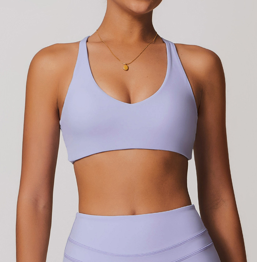reggiseno2