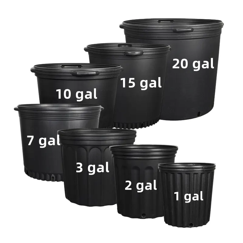 Direct Manufactures Hot Cheap Outdoor White Black Thick 3 4 5 6 7 10 15 Gallon Plastic Nursery Pots For Gardening