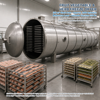 Machine de lyophilisation industrielle FFD-200 pour aliments, fruits, légumes, viande, lyophilisateur à grande échelle