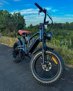 Eu EE. UU. Almacén Fábrica Eléctrica Deportes Bicicleta Montaña Barato Eléctrico Dirt Bike Adulto Off-Road Motor Precios - Product Image 3