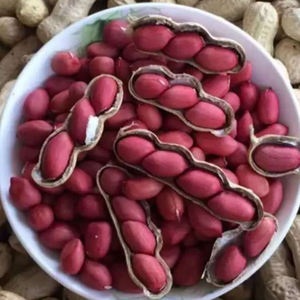 Erdnüsse 50 Kg Bulk Raw <span class=keywords><strong>Peanuts</strong></span> <span class=keywords><strong>Peanuts</strong></span> Preis Peanut Seeds - Product Image 4