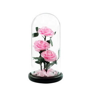 Forever Rose de gran tamaño en cúpula de cristal <span class=keywords><strong>para</strong></span> regalos de cumpleaños perfectos <span class=keywords><strong>para</strong></span> mujeres y regalo del Día DE LA Madre - Product Image 2