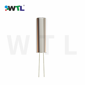 Dao Động Đồng Hồ WTL 32.768KHz Dao Động Đồng Hồ DIP 2Mm X 6Mm - Product Image 4