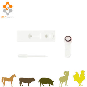 Snelle veterinaire tests voor papegaaien AVIAN <span class=keywords><strong>Salmonella</strong></span> Spp Ag Rapid <span class=keywords><strong>Test</strong></span> - Product Image 6