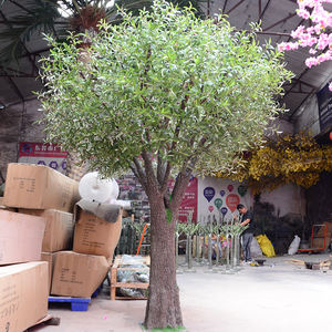 <span class=keywords><strong>Prix</strong></span> de gros Arbre en bois vert fibre de verre <span class=keywords><strong>olivier</strong></span> artificiel à vendre faux <span class=keywords><strong>olivier</strong></span> feuilles persistantes plante - Product Image 6