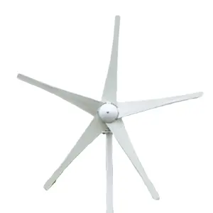 中国制造商2000瓦风力涡轮机2kw