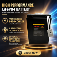 Batterie au lithium LiFePO4 à semi-conducteurs 51,2 V 48 V 60 V 72 V 80 Ah 25 Ah 30 Ah 50 Ah avec 6000 cycles pour moto/cyclomoteur électrique