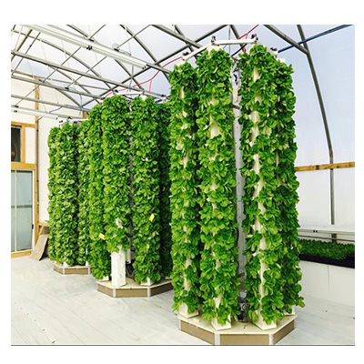 Гидропонная теплица, внутренние аэропонные растущие башни, вертикальные садовые системы гидропоники