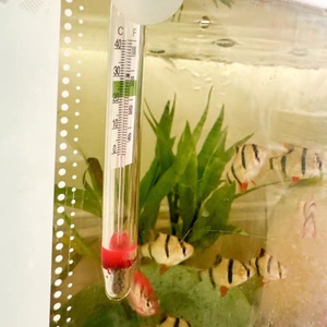 Termômetro de Vidro Embutido à Prova d'Água de Alta Precisão para Aquário, Embalado para Decoração de Tanque de Peixes - Product Image 5