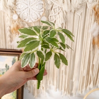 CL41016 Fleur artificielle Mini Arboricola Arbre compact et touffu pour la décoration de bureau, les accents d'étagère, les jardins miniatures