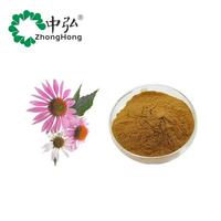 Extrait de Poudre d'Échinacée Purpurea de Qualité Alimentaire, Emballé Sous Vide, 4% d'Acide Chicorique, Polyphénols Végétaux, Approvisionnement en Herbes, Contenant en Verre